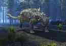 Evolocephalus