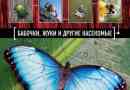 Червените книжни насекоми в русия