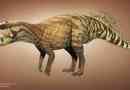 Psittacosaurus: dinosaurus