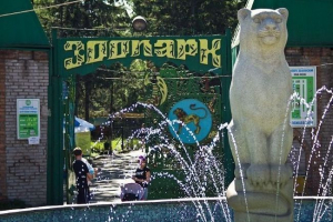 Абакан зоопарк („дюриент на дуели“) Абакан зоопарк („дюриент на дуели“)