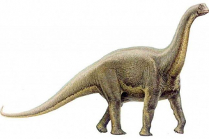 Alamosavr Alamosavr