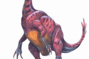 Alksazaur Alksazaur