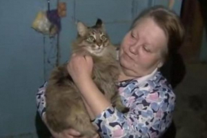 Бездомни котешки маша и бебето, на когото тя спаси