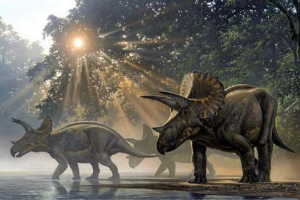 Ceratops. Смел и смел Ceratops. Смел и смел