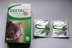 Град за котки - когато се прилага?