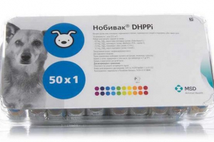 Какви са ваксинациите на nobivak за кучета?