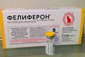 Фелиферон за котки - как работи? Фелиферон за котки - как работи?