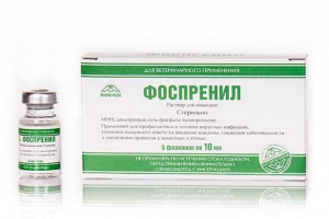 Fosprenil: имуностимулатор и антивирусно лекарство за котки Fosprenil: имуностимулатор и антивирусно лекарство за котки