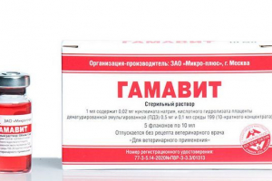 Gamavit за котки - отзиви и предпазни мерки