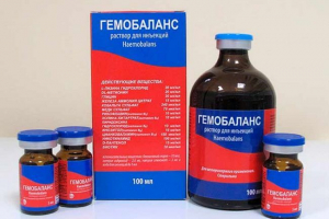 Хемобаленс за котки - защо да предпишете? Хемобаленс за котки - защо да предпишете?