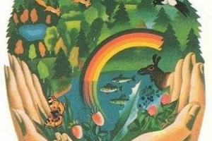 Екологични признаци на сигурност