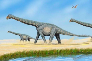 Юрски период, или юра (преди 201-145 милиона години)