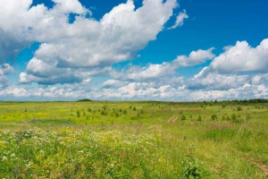 Какви големи естествени комплекси се разпределят в русия?