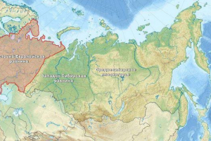 Какви природни ресурси са източноевропейската равнина, богата на богата?