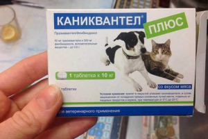 Kanikvantel plus - как работи лекарството? Kanikvantel plus - как работи лекарството?