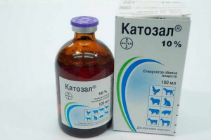 Катосал за котки - кога и защо се назначават? Катосал за котки - кога и защо се назначават?