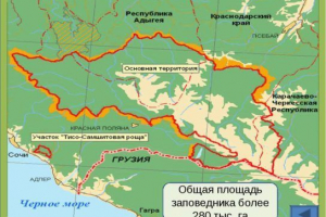 Кавказки резерват Кавказки резерват