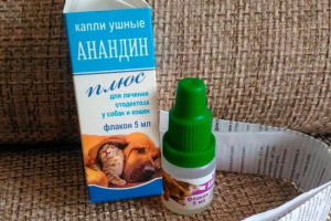 Когато са назначени капки за котки anandin и как да ги използвате правилно?