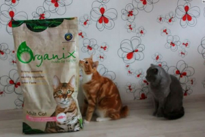 Cortix cat food: анализ на композицията и прегледи Cortix cat food: анализ на композицията и прегледи