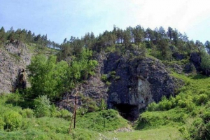 Останките на необичаен древен кон са намерени в алтай
