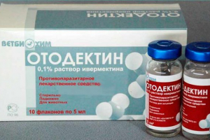 Отодектин за котки - плюсове и минуси на