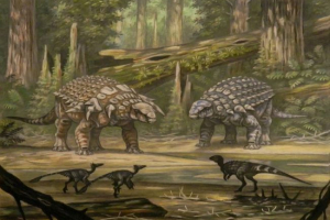 Panneplosaurus Panneplosaurus