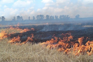 Аномалиите на времето заплашват фермерите Аномалиите на времето заплашват фермерите