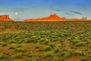 Прерия на северна америка Прерия на северна америка