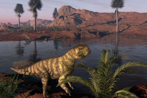 Psittacosaurus Psittacosaurus