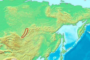 Най -ниските точки на всички сухопътни континенти Най -ниските точки на всички сухопътни континенти