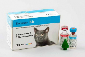Поредица от ваксини nobivak за котки - което е по -добре да изберете?