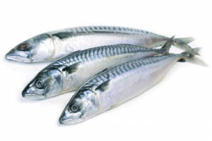 Скумрия Скумрия