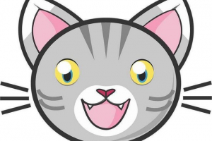 Забавни снимки на боядисани котки и котета за деца Забавни снимки на боядисани котки и котета за деца