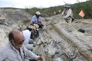 Учени от цял ​​свят търсят останките на динозаврите на vologda