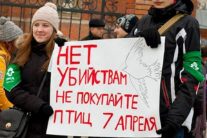 В москва птиците могат да станат жертви на празника на благовещение
