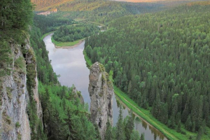 Животинският свят на уралите